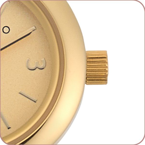 Detalle lateral reloj D'Mario FC0511 DD