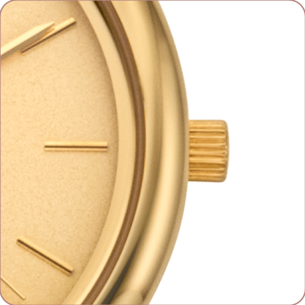 Detalle lateral reloj D'Mario FG1600 DD
